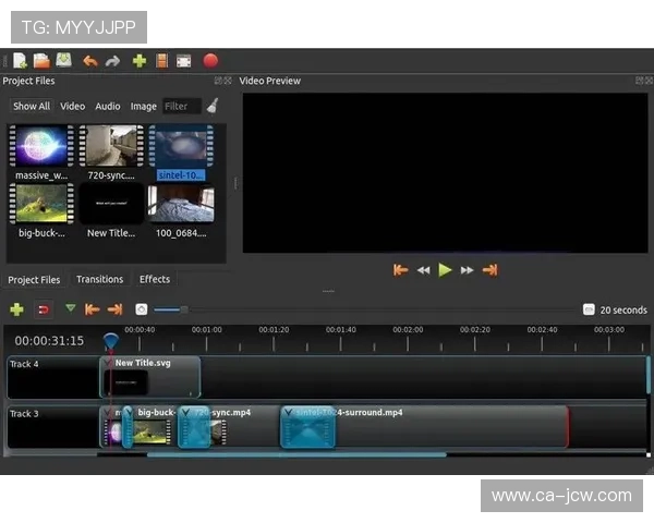 无损压缩技术保留原始画质 满足专业需求